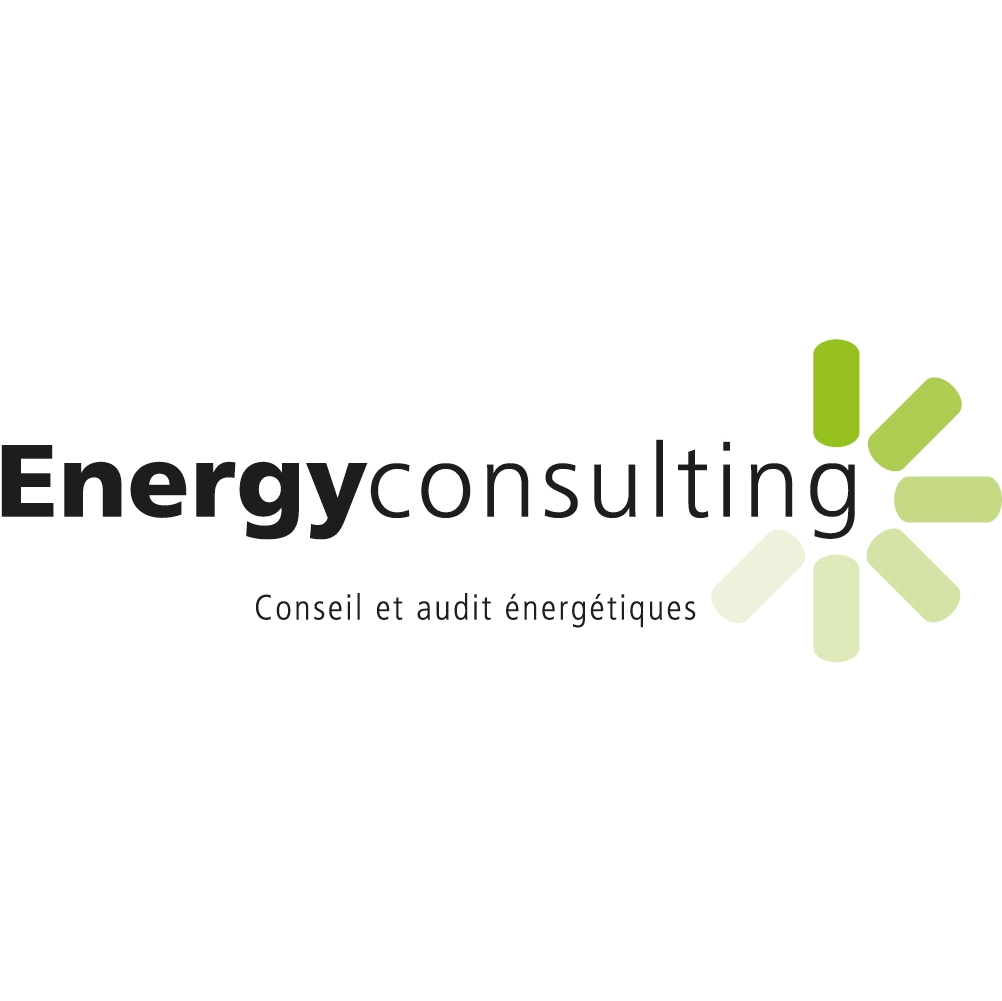 Energy-Consulting Logo Energy consulting