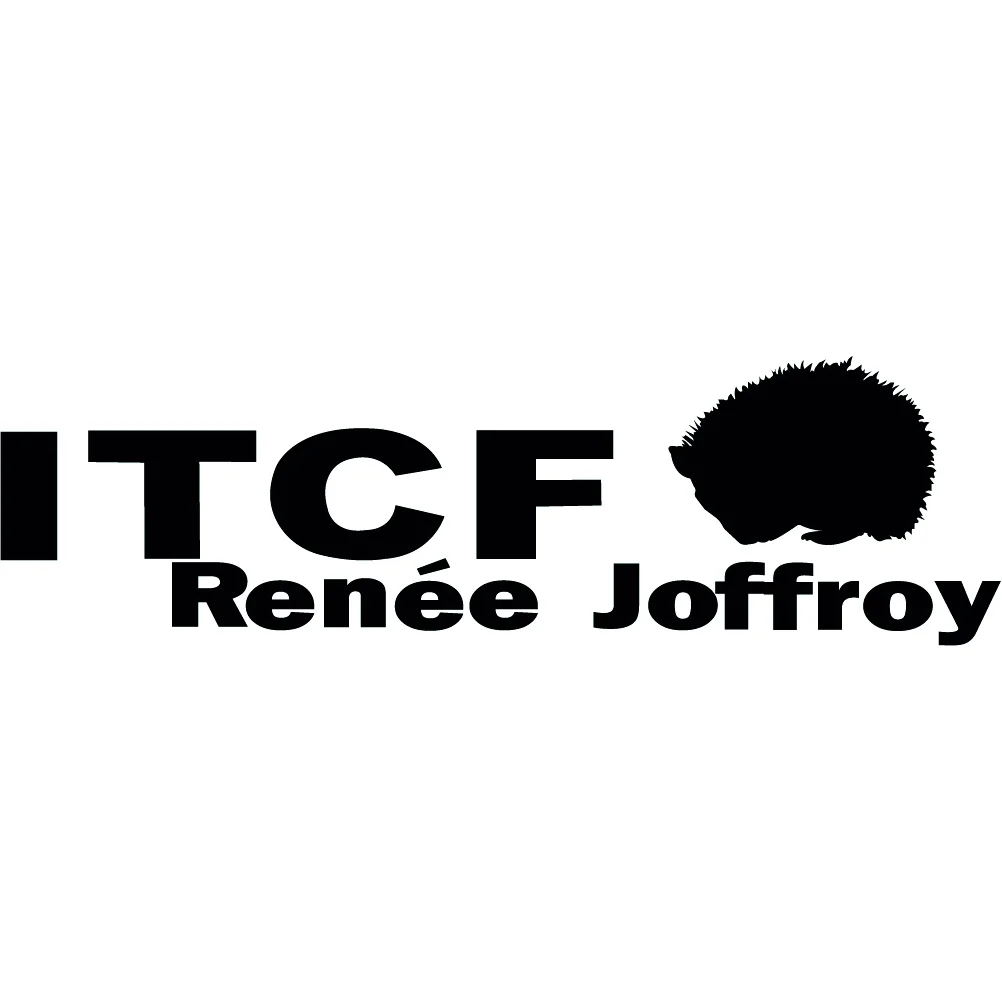 itcf-rene Logo ITCF